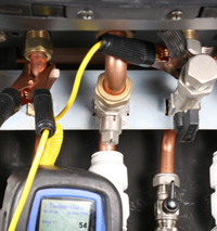 bx pt gold hea telegan small.jpg